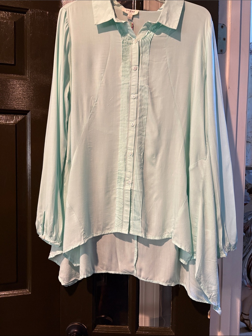 Umgee Mint Green Button-Front Women's Blouse